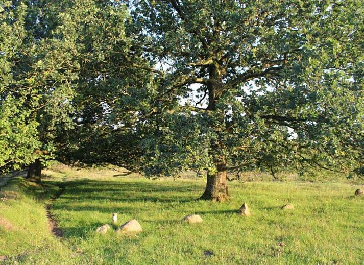 Gemuetliches Wohnzimmer im Ferienhaus DG280 in Exloo, Suedost-Drenthe, mit bequemem roten Sofa und Blick auf die gruene Natur.