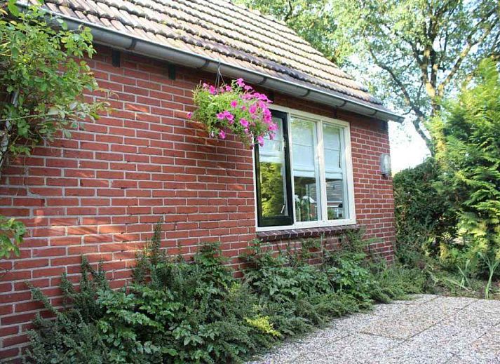 Gemuetliches Wohnzimmer im Ferienhaus DG280 in Exloo, Suedost-Drenthe, mit bequemem roten Sofa und Blick auf die gruene Natur.