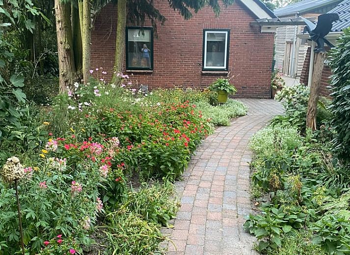 Unterkunft 190410 • Ferienhaus Zuidoost Drenthe • Vakantiehuis in Exloo