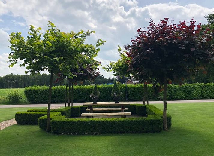 Cozy garden at Holiday Home in Exloo, Drenthe, with picnic table and flowering plants.