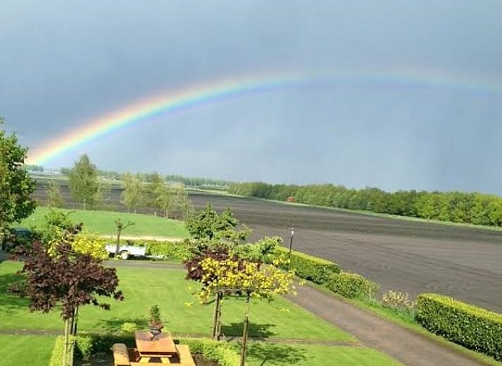 Cozy garden at Holiday Home in Exloo, Drenthe, with picnic table and flowering plants.