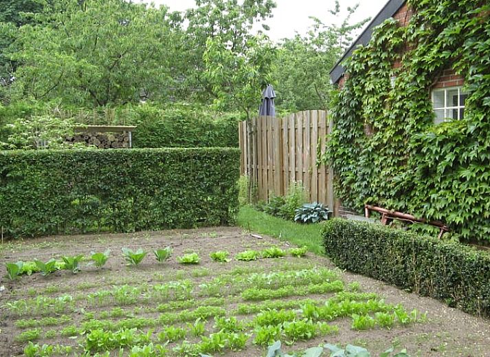 Vakantiehuisje in Exloo met landelijke charme en groene omgeving in Zuidoost Drenthe, Drenthe.