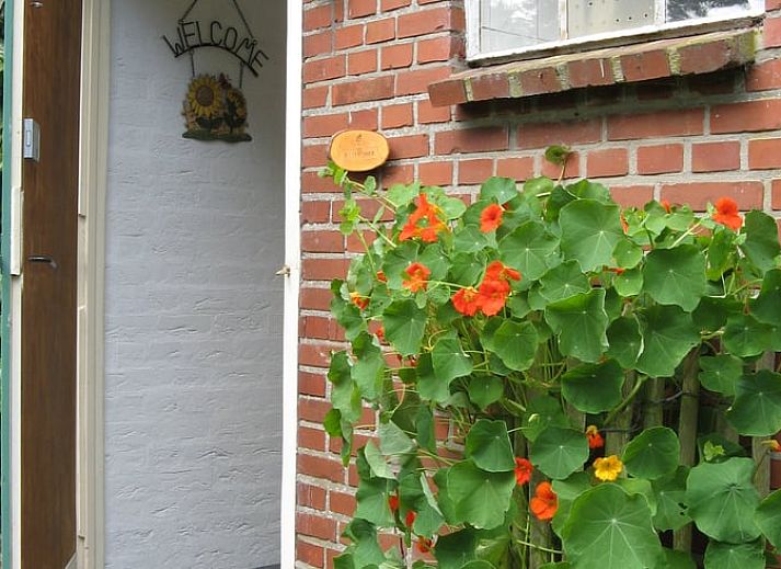 Gezellige entree van Vakantiehuisje in Exloo, omringd door natuur in Zuidoost Drenthe, Drenthe.
