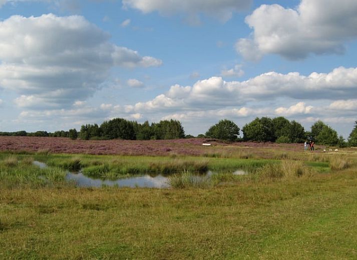 Groentetuin bij Vakantiehuisje in Exloo, ideaal voor een ontspannen verblijf in Zuidoost Drenthe, Drenthe.