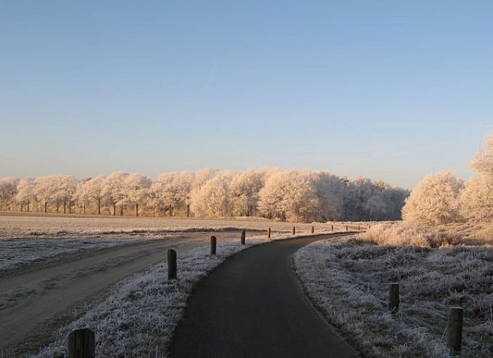 Groentetuin bij Vakantiehuisje in Exloo, ideaal voor een ontspannen verblijf in Zuidoost Drenthe, Drenthe.