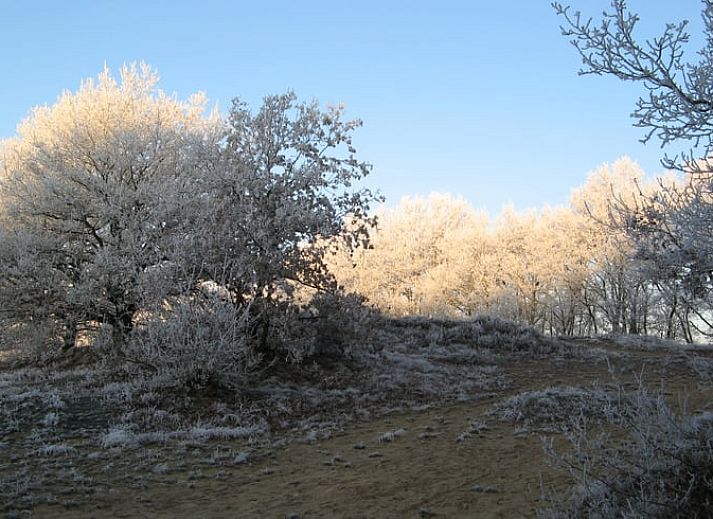 Groentetuin bij Vakantiehuisje in Exloo, ideaal voor een ontspannen verblijf in Zuidoost Drenthe, Drenthe.