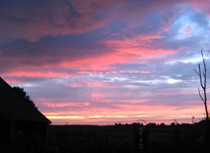 Groentetuin bij Vakantiehuisje in Exloo, ideaal voor een ontspannen verblijf in Zuidoost Drenthe, Drenthe.