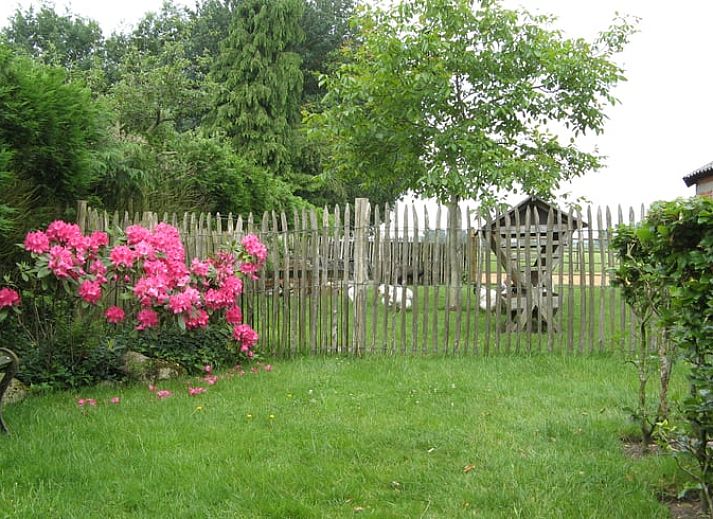 Groentetuin bij Vakantiehuisje in Exloo, ideaal voor een ontspannen verblijf in Zuidoost Drenthe, Drenthe.
