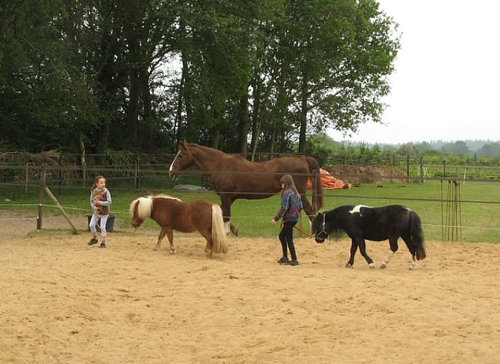 Zonnig terras bij Vakantiehuisje in Exloo met comfortabele stoelen in Zuidoost Drenthe, Drenthe.
