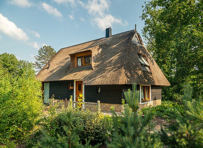 Lichte woonkamer van PUUR Exloo vakantiehuis met grote ramen en tuinzicht.