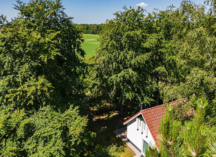 Open kitchen and dining area of Cottage in Exloo, ideal for families in Exloo, Southeast Drenthe, Drenthe.