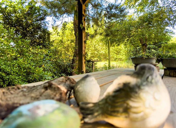 Open kitchen and dining area of Cottage in Exloo, ideal for families in Exloo, Southeast Drenthe, Drenthe.