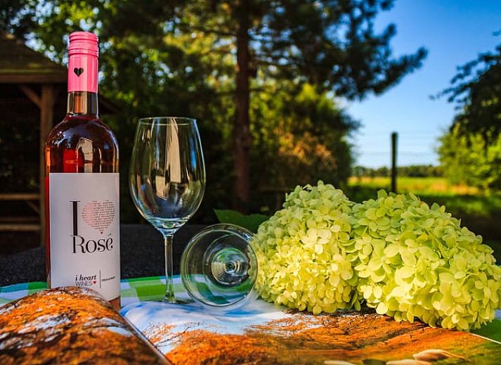 Covered table in the kitchen of Huisje in Exloo, attractive vacation home in Exloo, Southeast Drenthe, Drenthe.