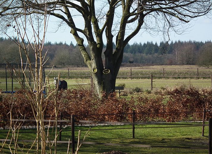 Guest house 190440 - Holiday property Zuidoost Drenthe - DG109