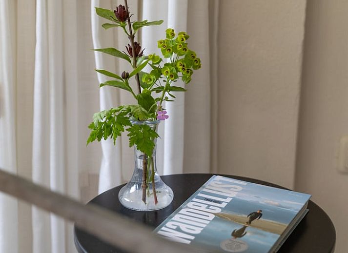 Grosser Garten des Ferienhauses in Exloo, ideal fuer Outdoor-Aktivitaeten im Suedosten von Drenthe.