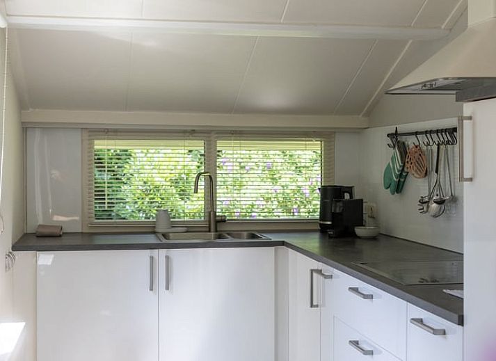 Grosser Garten des Ferienhauses in Exloo, ideal fuer Outdoor-Aktivitaeten im Suedosten von Drenthe.