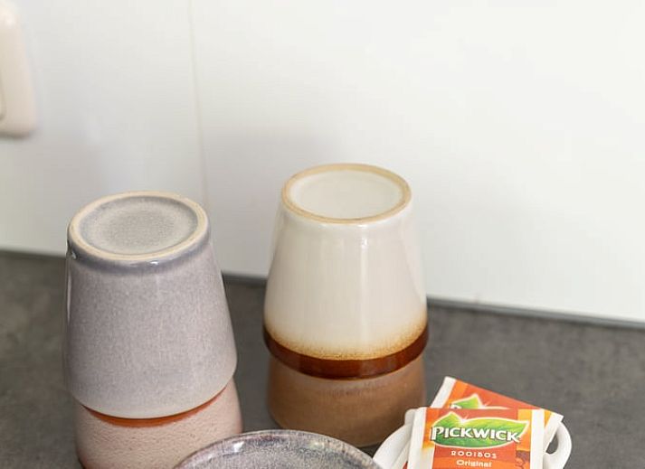 Seitenansicht des Ferienhauses in Exloo, ein ruhiges Ferienhaus in Drenthe.