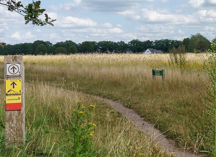 Ingang van Vakantiehuis in Exloo, Zuidoost Drenthe met open deur naar binnenplaats.