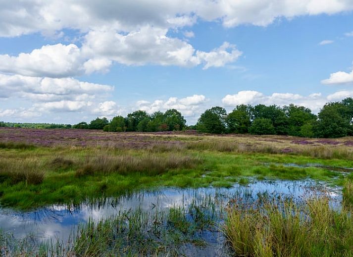 Ingang van Vakantiehuis in Exloo, Zuidoost Drenthe met open deur naar binnenplaats.