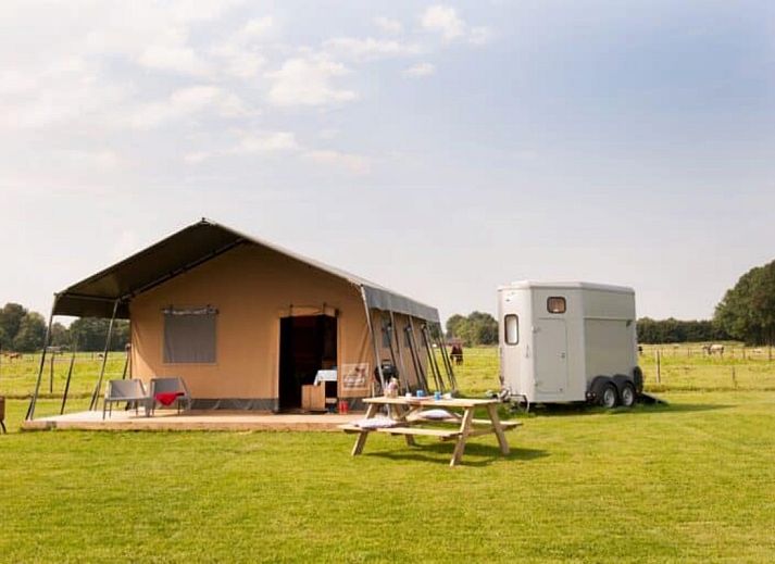 Guest house 190506 • Tent house Zuidoost Drenthe • Ranchtent