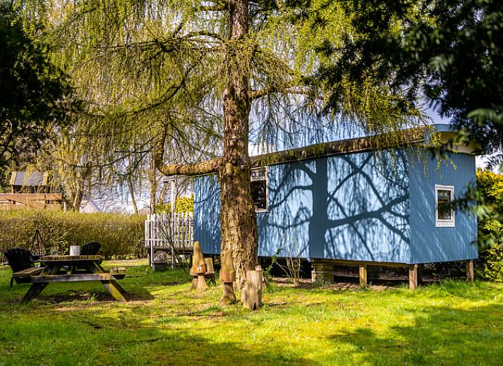 Gezellige veranda van Vakantiehuis in Roswinkel, Drenthe, omgeven door groen voor een ontspannen verblijf.