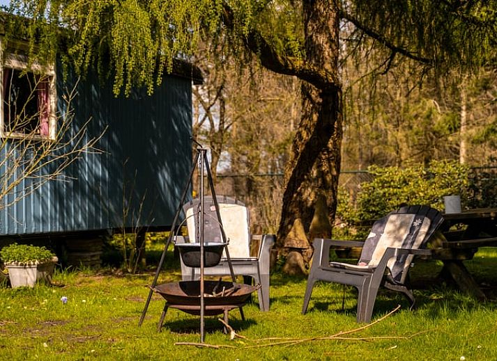 Gezellige veranda van Vakantiehuis in Roswinkel, Drenthe, omgeven door groen voor een ontspannen verblijf.