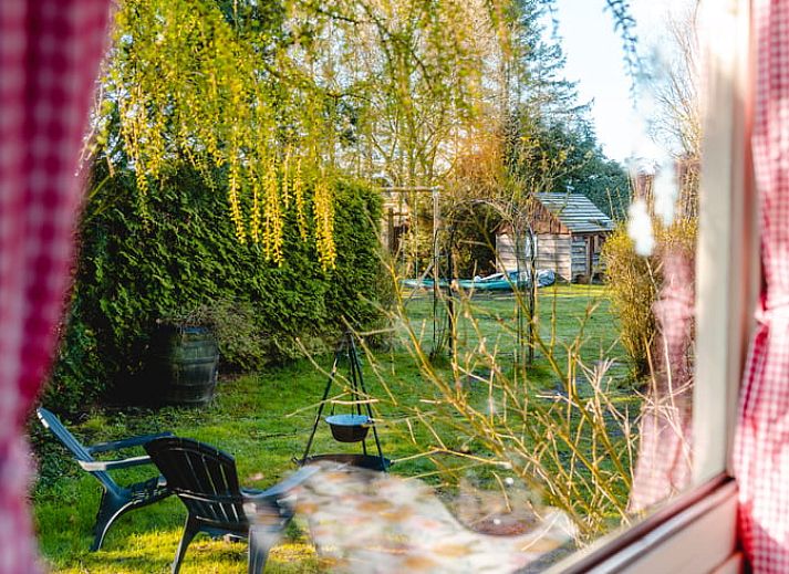 Gezellige veranda van Vakantiehuis in Roswinkel, Drenthe, omgeven door groen voor een ontspannen verblijf.