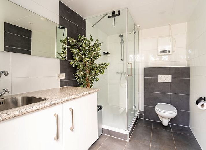 Buitenruimte van Vakantiehuis in Roswinkel met comfortabele zitplaatsen en vuurplaats in Drenthe.