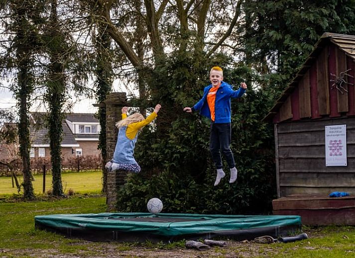 Uitzicht vanuit Vakantiehuis in Roswinkel, Drenthe, op een groene tuin voor een serene ervaring.