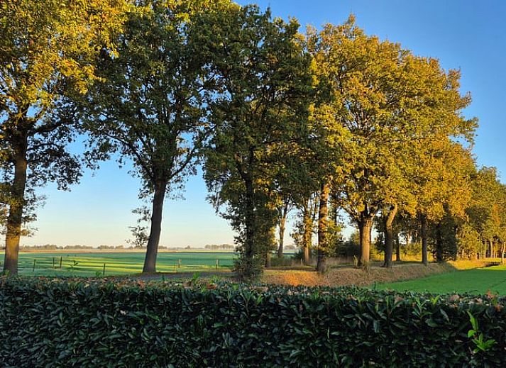Ontspan op de veranda van het Vakantiehuisje in Dalerveen, Zuidoost Drenthe, met comfortabele ligstoelen en een luxe jacuzzi.