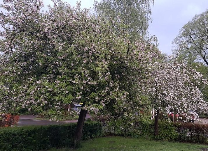 Ruime oprit naar Vakantiehuisje in Dalerveen, Zuidoost Drenthe, omgeven door groen en landelijke rust.