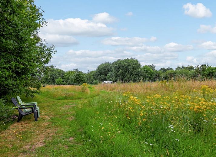 Ruime oprit naar Vakantiehuisje in Dalerveen, Zuidoost Drenthe, omgeven door groen en landelijke rust.