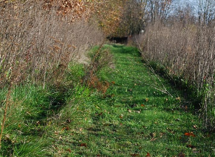 Gezellig terras bij Vakantiehuisje in Dalerveen, Zuidoost Drenthe, perfect voor ontspannen buiten dineren.