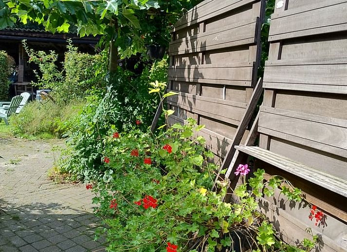 Gezellig terras bij Vakantiehuisje in Dalerveen, Zuidoost Drenthe, perfect voor ontspannen buiten dineren.