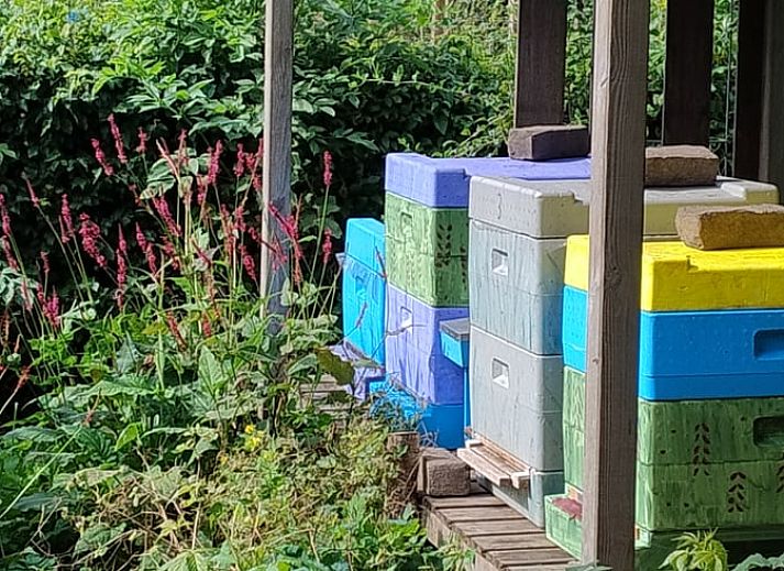 Uitzicht vanuit Vakantiehuisje in Dalerveen, Zuidoost Drenthe, met groene tuin en rustieke charme.