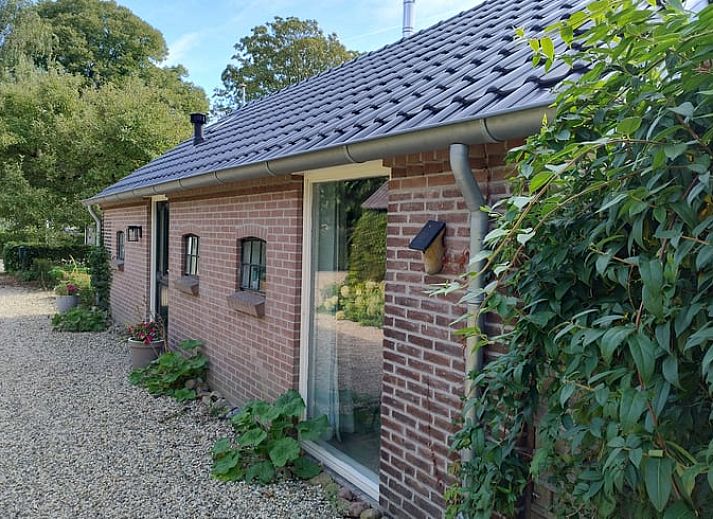 Uitzicht vanuit Vakantiehuisje in Dalerveen, Zuidoost Drenthe, met groene tuin en rustieke charme.