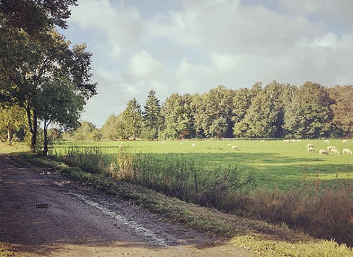 Unterkunft 191117 - Ferienhaus Zuidoost Drenthe - Huisje in Emmen