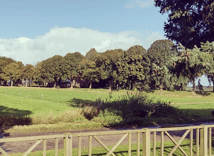 Unterkunft 191117 - Ferienhaus Zuidoost Drenthe - Huisje in Emmen