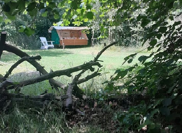 Unique wooden bed in Holiday home in Emmen, surrounded by nature in Southeast Drenthe.