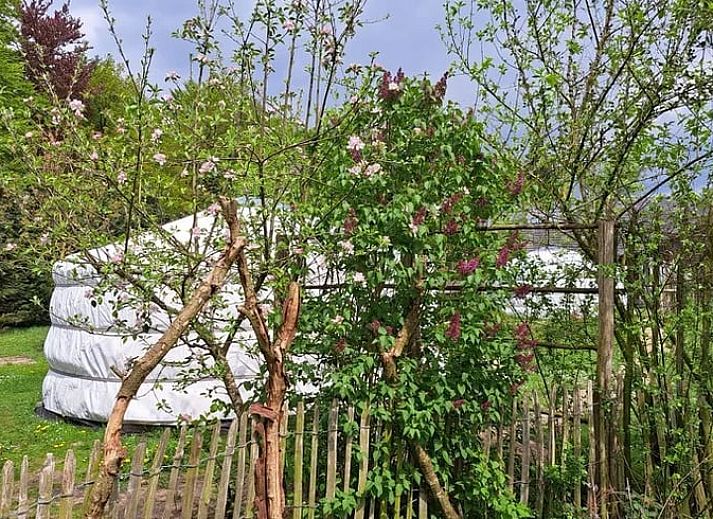 Schoene Dachkonstruktion im Ferienhaus in Emmen, Ferienhaus in Sued-Ost Drenthe.