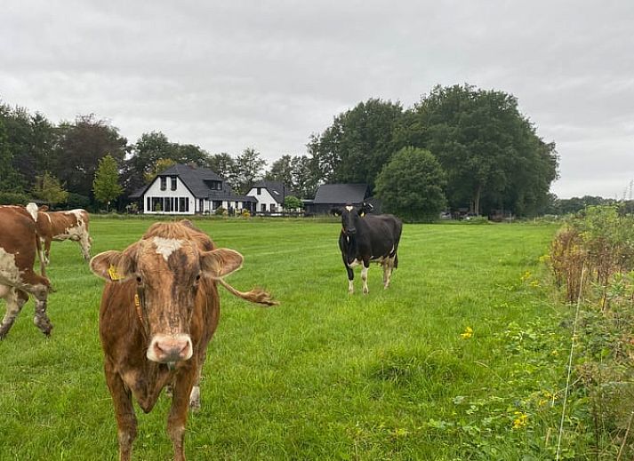 Ferienhaus in Dalen, Suedost-Drenthe, umgeben von Natur und Ruhe, ideal fuer einen erholsamen Urlaub.