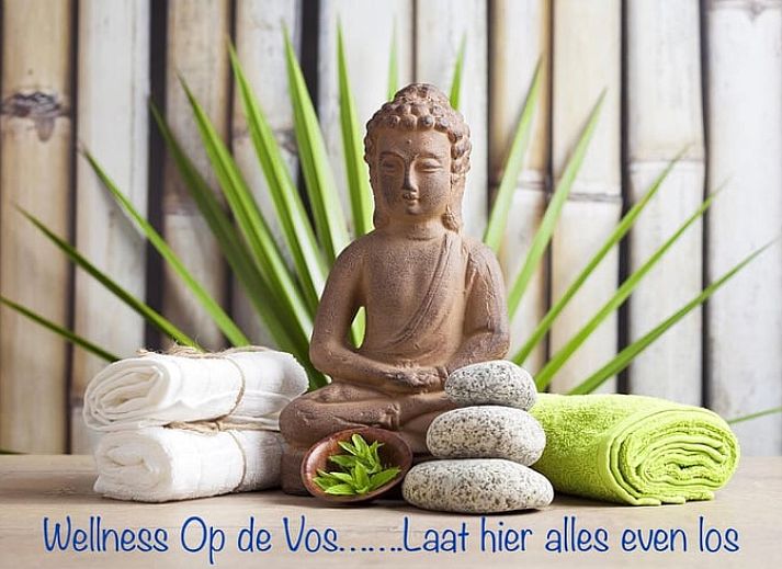 Gemuetliches Wohnzimmer im Ferienhaus in Dalen, Suedost-Drenthe, mit bequemem Sofa und Gartenblick.