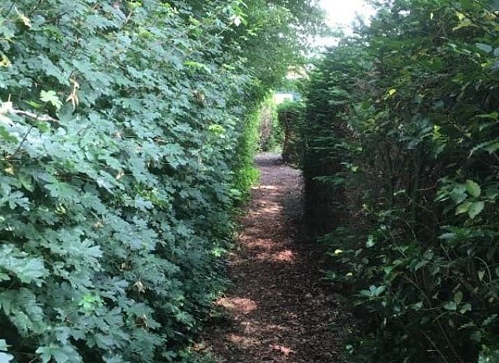 Gemuetliches Wohnzimmer im Ferienhaus in Dalen, Suedost-Drenthe, mit bequemem Sofa und Gartenblick.