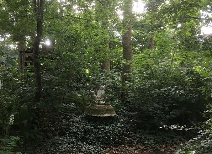 Gemuetliches Wohnzimmer im Ferienhaus in Dalen, Suedost-Drenthe, mit bequemem Sofa und Gartenblick.