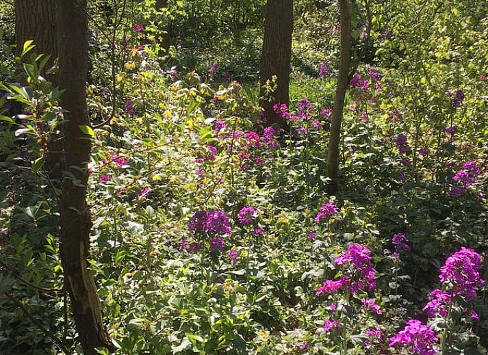 Stilvolles Wohnzimmer mit Kamin im Ferienhaus in Dalen, Suedost-Drenthe, fuer eine warme Atmosphaere.