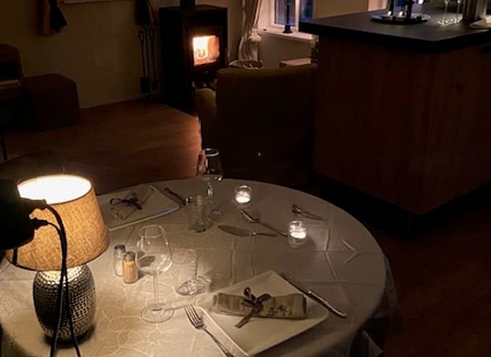 Rustic surroundings of Cottage in Dalen, vacation home in Drenthe with grazing cows in the meadow.