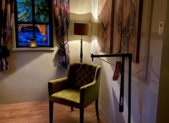 Rustic surroundings of Cottage in Dalen, vacation home in Drenthe with grazing cows in the meadow.