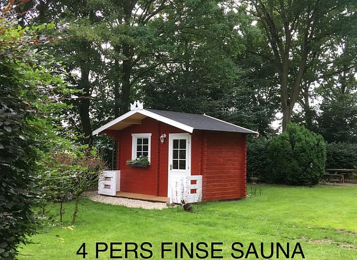 Cozy garden of Huisje in Dalen, vacation home in Dalen, Drenthe with colorful flowers.