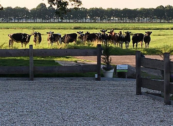 Sunny terrace at Cottage in Dalen, vacation home in Southeast Drenthe with comfortable seating.