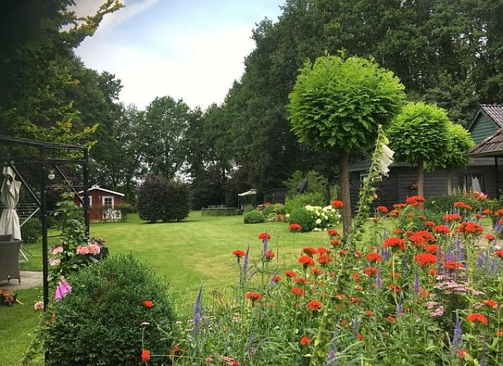 Guest house 191207 - Holiday property Zuidoost Drenthe - Huisje in Dalen (dorp)
